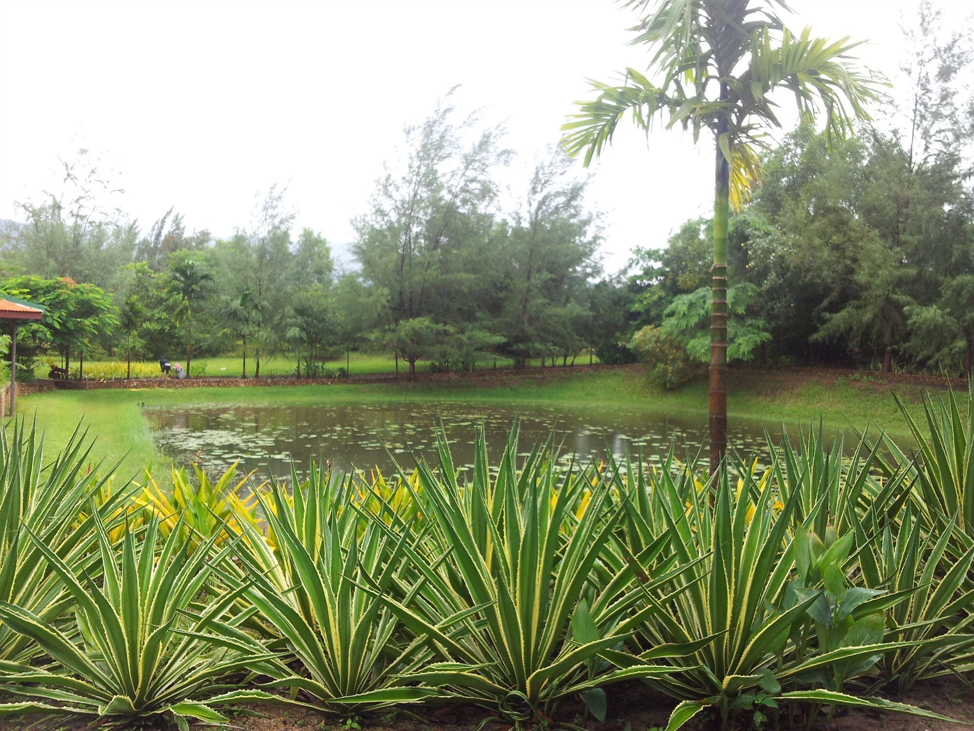 Nataya Round House Coral Bay Resort Kampot Exterior photo